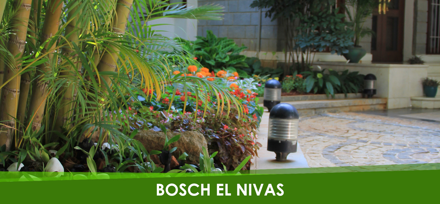 Bosch El Nivas