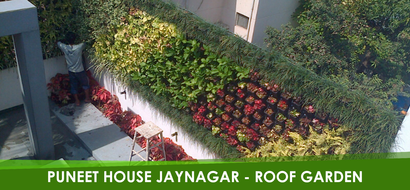 Puneet House Jayanagar – Roof Garden